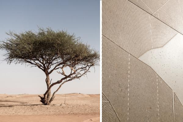 A treasure of the desert