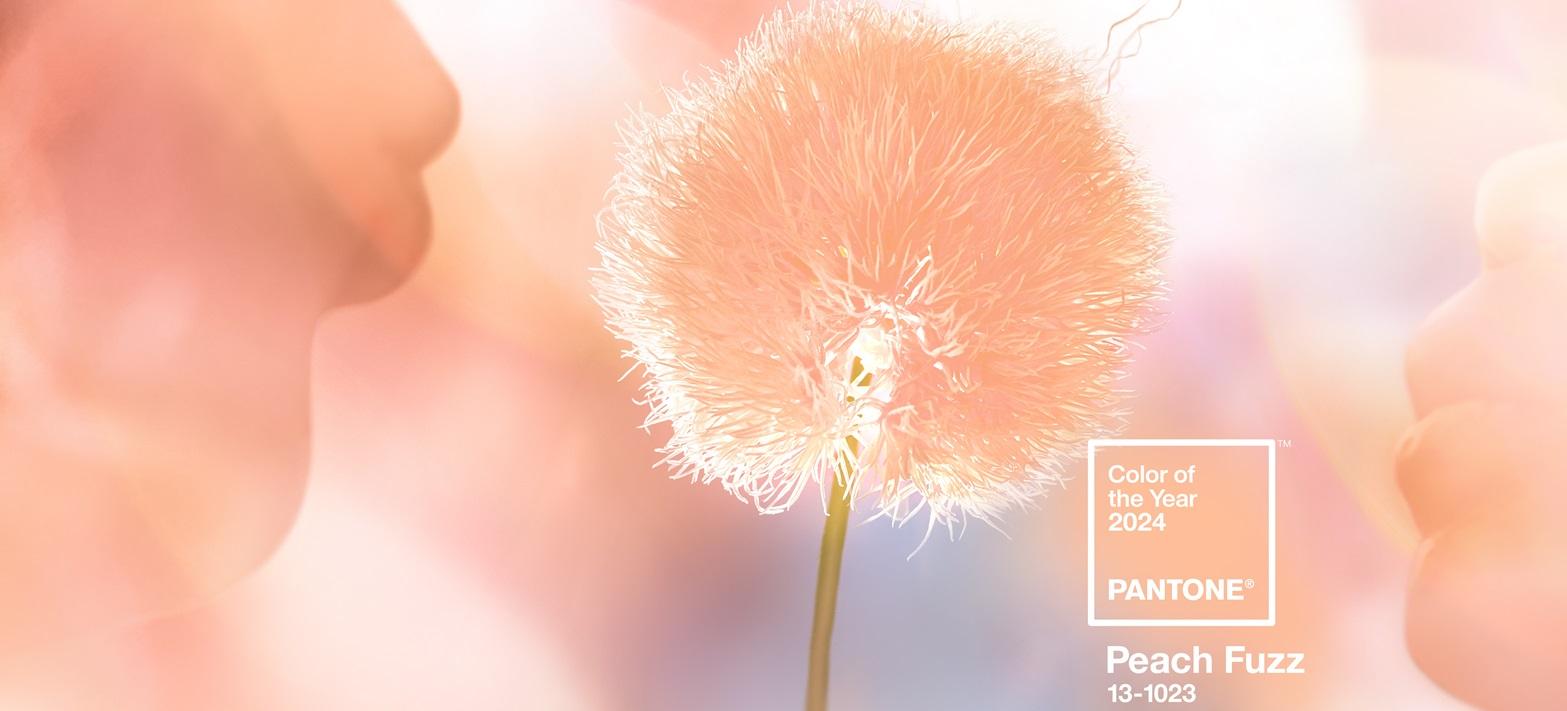 Peach Fuzz kolorem roku 2024! Jak wpleść go do wnętrz?