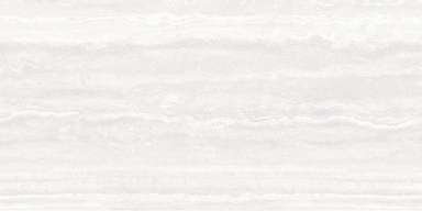 ECHO CELIO VEIN SILVER 59,8X119,8