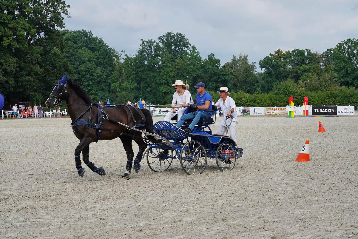 Pasja, rywalizacja i elegancja - Grupa Tubądzin i zawody jeździeckie Lewada Art Cup