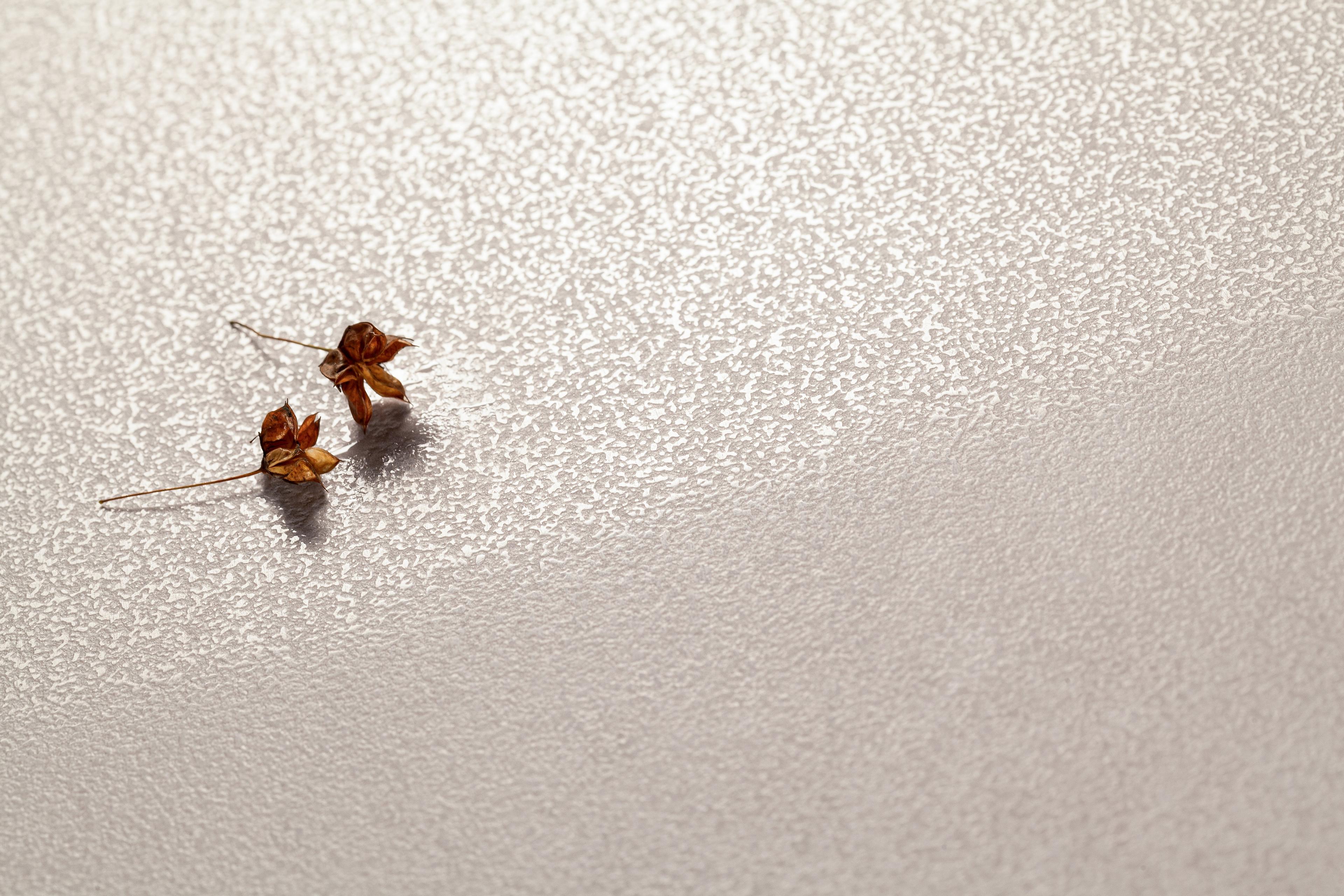 Marka Tubądzin i Kolor Roku Pantone 2026!